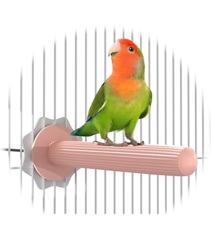 Heated Perches Bird Cage, Bird Warmer Fast Heating Intelligent Temperature Control, Resin Parrot Thermal Stand Warmer for Winter for Cockatiels