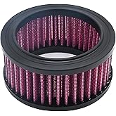 Anxingo Motorcycle Air Cleaner Intake Motorcycle Air Filter Replacement for Harley Sportster X48 XL883 XL1200 2004-2018