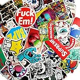 IEBIYO Skateboard Stickers, Random Mix Style Small Stickers with Sun Protection and Waterproof Functions for Suitcase, Skateboard, Snowboarding, Luggage, Guitar, Car, Bike, MTB, Laptops(100 Pack)