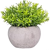 yirfly Small Fake Plants for Bathroom Shelf Decor, Mini Artificial Plants Indoor Fake Succulent Grass Desk Plant for Office Women Coffee Table Decor Fake Potted