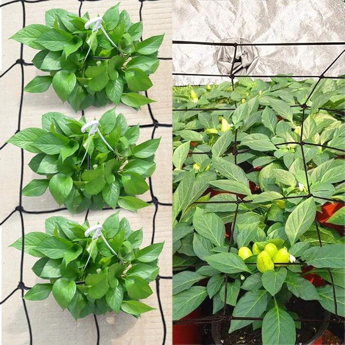 Golrisen Malla de Cultivo para Tienda de Plantas Red de Enrejado ...