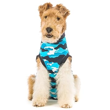 suitical Erholung Anzug für Hunde in blau camo. Professional Alternative zum Strahlenkegel shame. geeinigt für und Bandage Sc