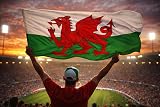 Storm&Lighthouse Welsh Flag Cymru 5ft x 3ft with Eyelets Red Dragon view 5