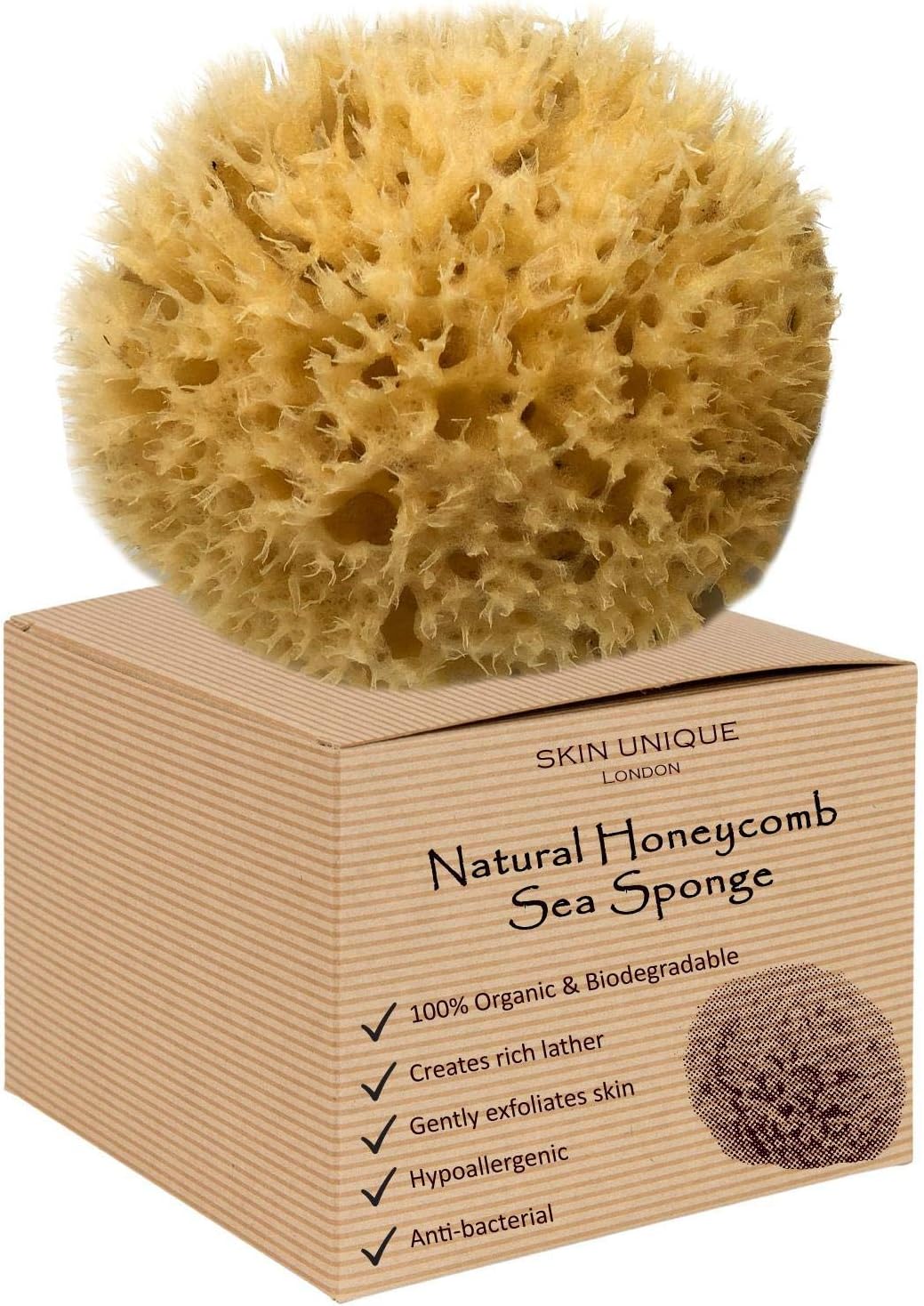 Skin Unique Mediterranean Natural Sea Sponge in Gift Box, Unbleached Honeycomb, Strong, Durable, 100% Organic, Hypoallergenic