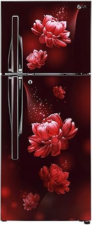 LG 260 L 2 Star Smart Inverter Frost-Free Double Door Refrigerator (GL-T292RSCY, Scarlet Charm, Convertible)