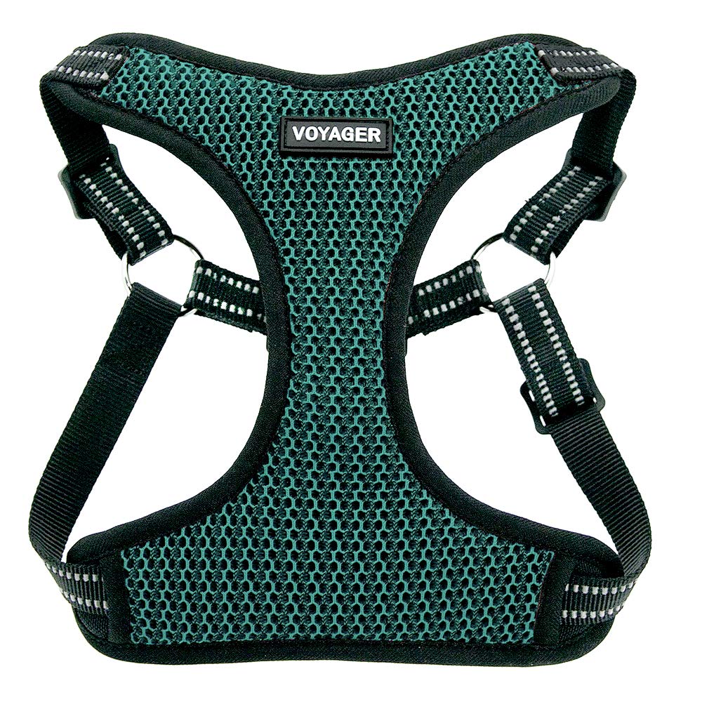 Voyager Step-In Flex Dog Harness - All Weather Mesh, Step In Adjustable Harness for Small and Medium Dogs by Best Pet Supplies - Turquoise Base, Large