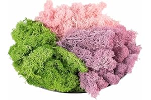 TAVKITE 9 OZ Preserved Moss, Natural Live Moss, Fake Moss for Potted Plants, Spanish Moss for Terrariums Gardening Art, Vase Fillers, Craft Floral Wall, Wedding Decor (Green, Purple, Pink)