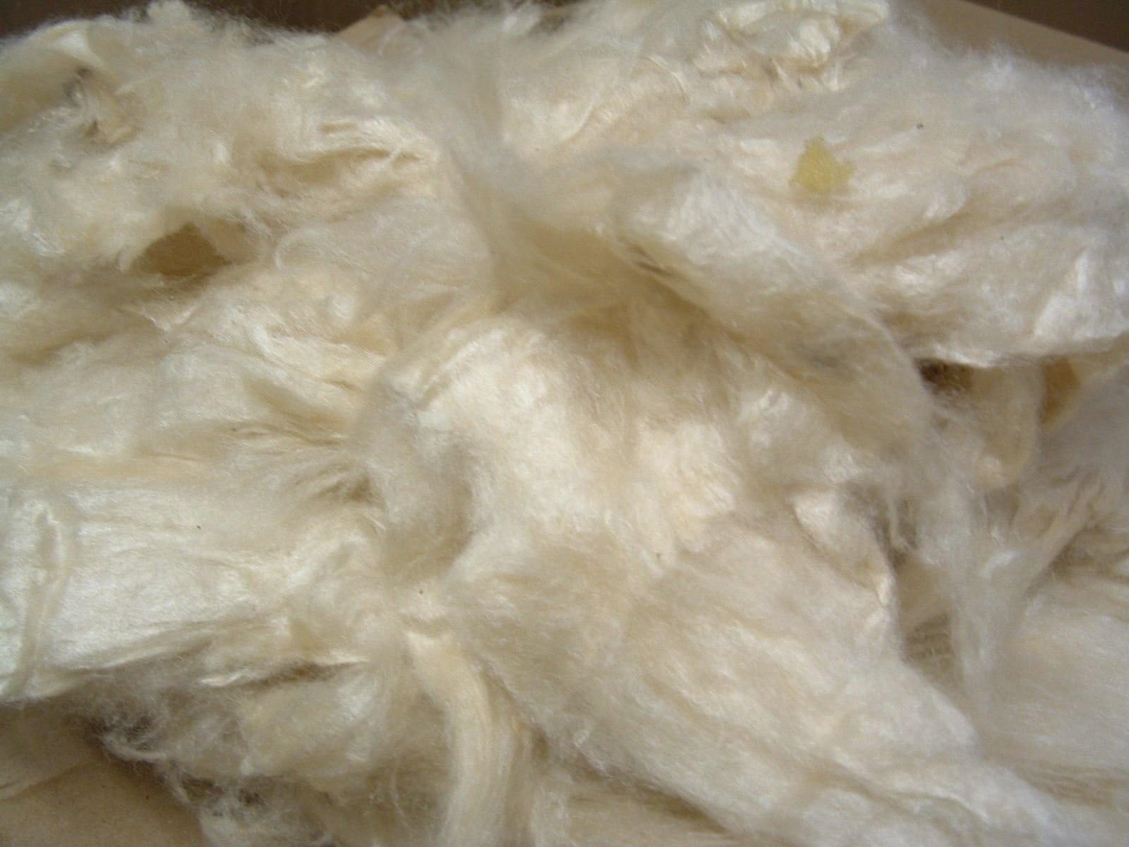 Kapok Organic Filling - 5 lbs