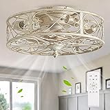 SHLUCE Caged Low Profile Ceiling Fan with
