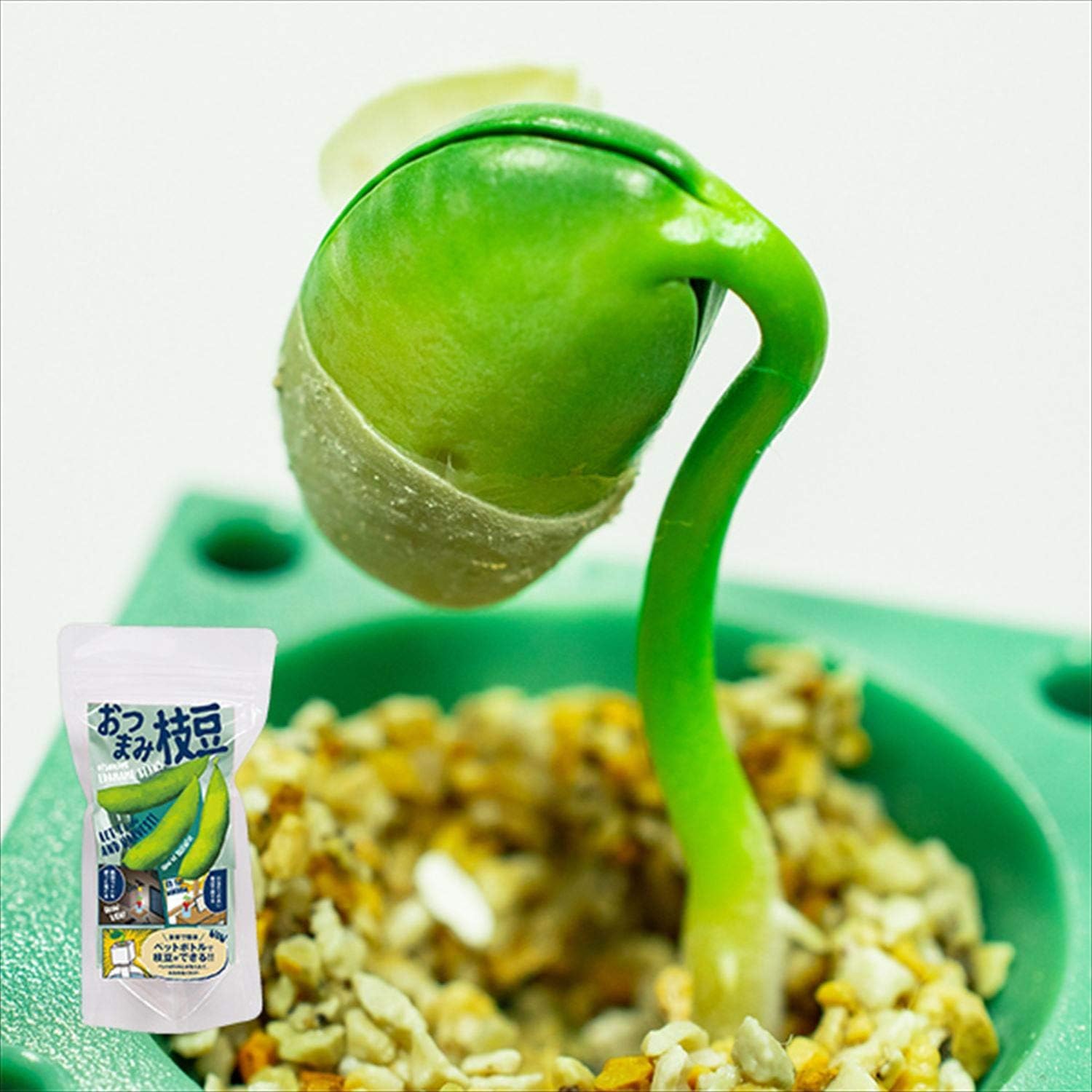 Amazon グリーントイ 栽培キット 4個セット 室内 かわいい ｻﾎﾞﾃﾝ 4 サボテン4個 栽培キット オンライン通販