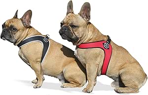 tre ponti dog harness
