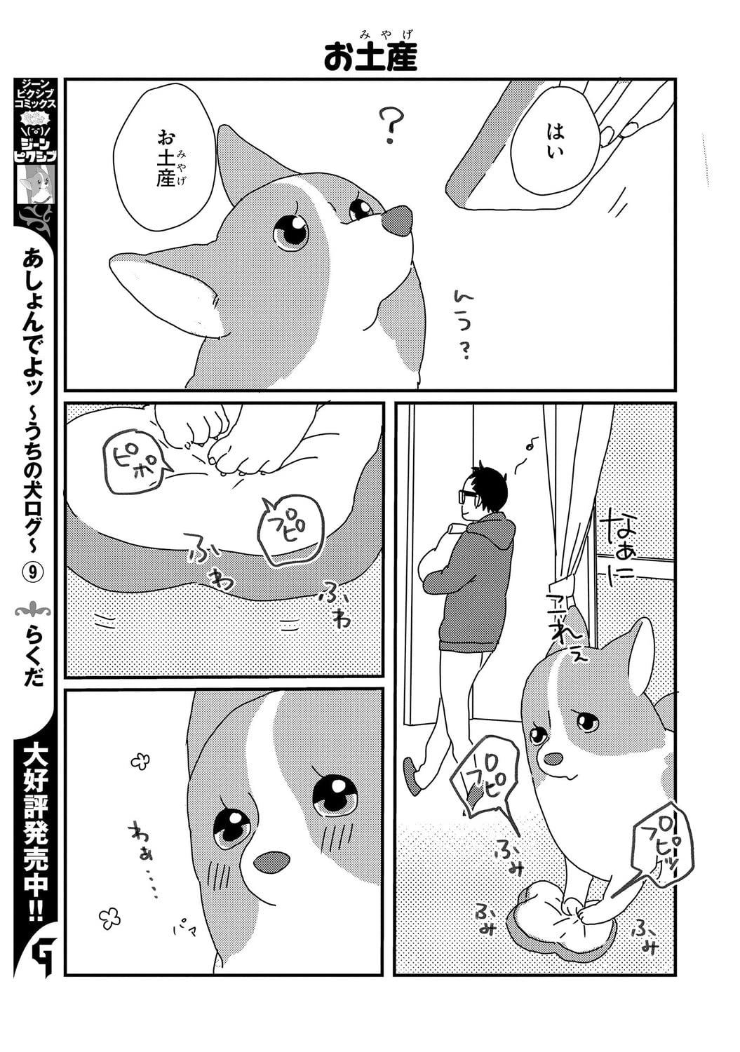 あしょんでよッ うちの犬ログ 10 ジーンピクシブシリーズ らくだ 本 通販 Amazon