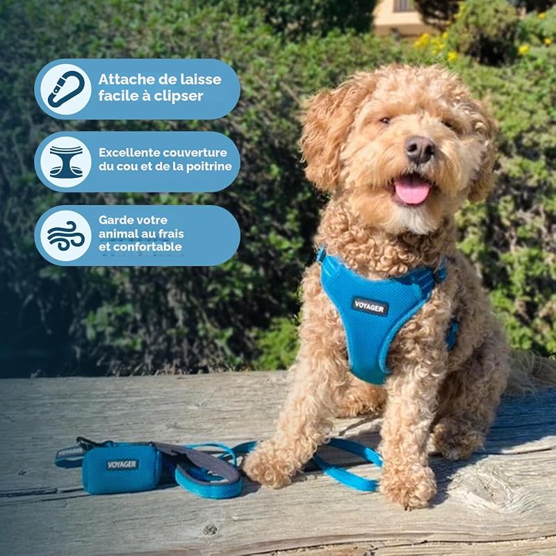Harnais Voyager réfléchissant pour Chien, Taille L