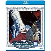 Is It Wrong To Try To Pick Up Girls In A Dungeon?III