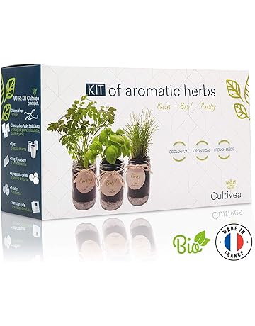 Amazon.es: Kits de cultivo en casa: Jardín