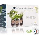Huerto Urbano KIT Cultivar Especias en tu Cocina - Caja con 4 ...