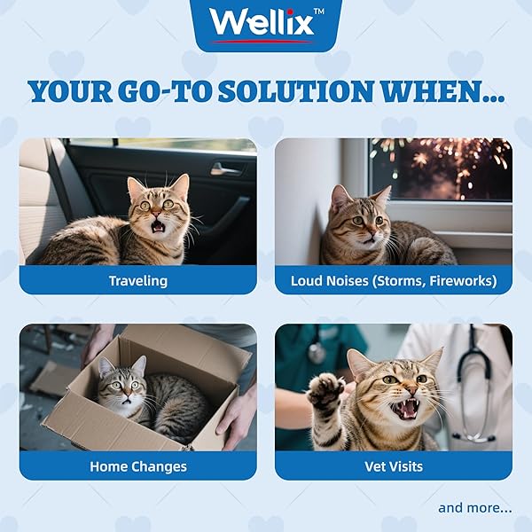 WELLIX 13.5OZ CALMING CAT TREATS FOR INDOOR CATS – CHICKEN FLAVOR KITTEN TRAINING SNACKS FOR BEHAVIORAL & PROMOTES RELAXATION WITH CHAMOMILE POWDER & MELATONIN