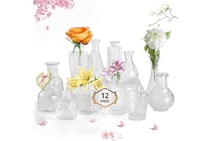 HIONXMGA Glass Bud Vases in Bulk 12PCS,Small Clear Bud Vase for Flowers,Mini Cute Vintage Vases for Rustic Wedding and Centerpieces Table Decorations