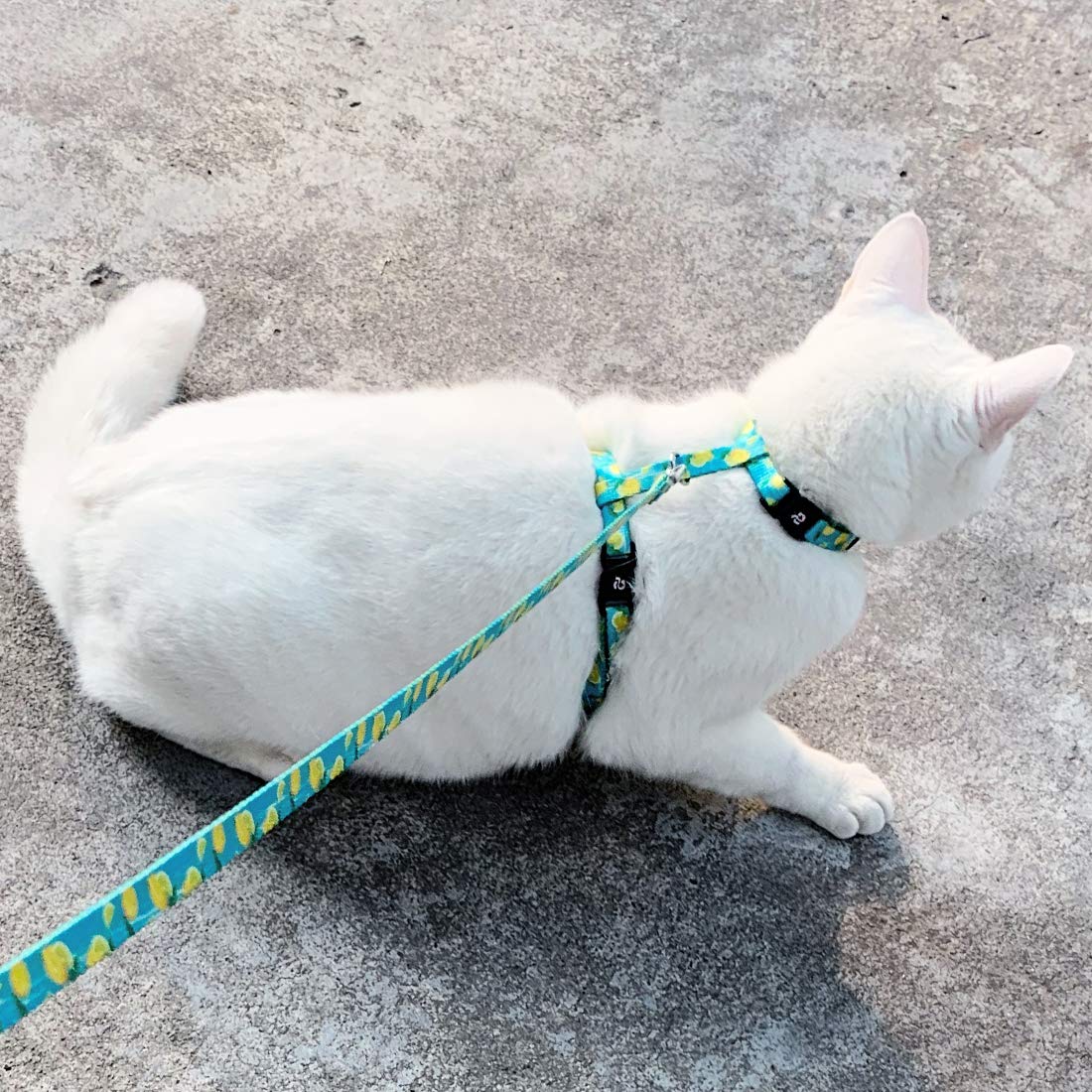 paracord cat harness