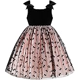 TENTIDE Toddler Girls Velvet Dress My Little Black Dress Tulle Sleeveless Pageant Performance Outfits 2-8 Years