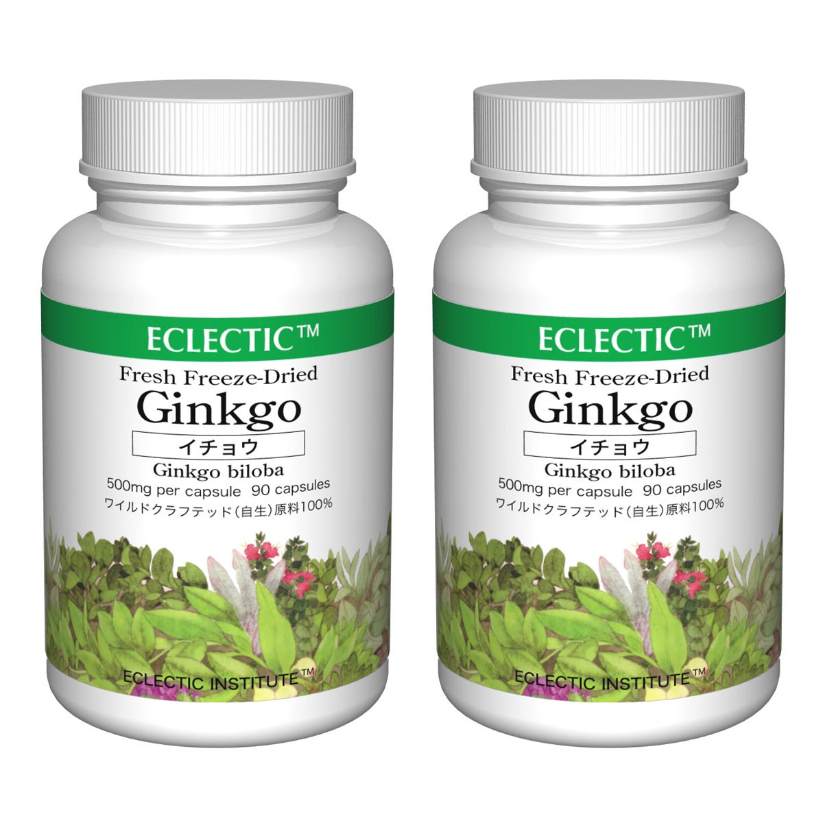 ECLECTIC エクレクティック ハーブサプリメント イチョウ ギンコ FFD 500mg 90カプセル フレッシュアップグレード規格 2個セット   B079WRXZW1