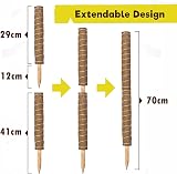 YAUNGEL Moss Pole 2 Pcs 41CM Coir Totem Pole with 20M Twist Ties view 3