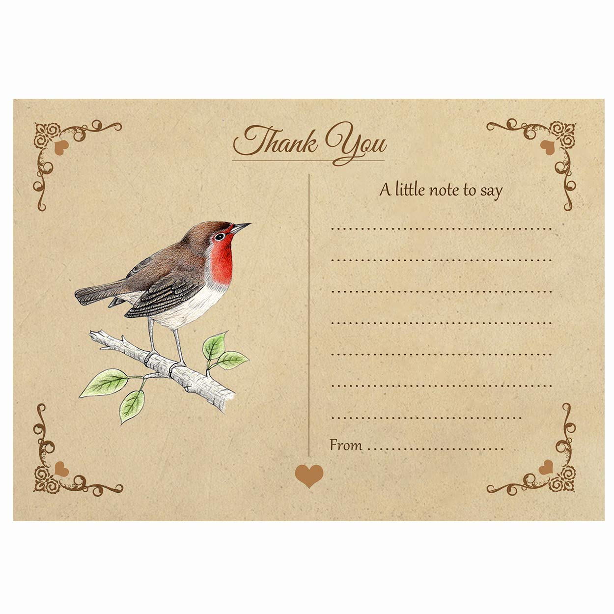 Artstore Vintage Robin Thank You Note Cards With Brown Kraft Envelopes - Pack of 15