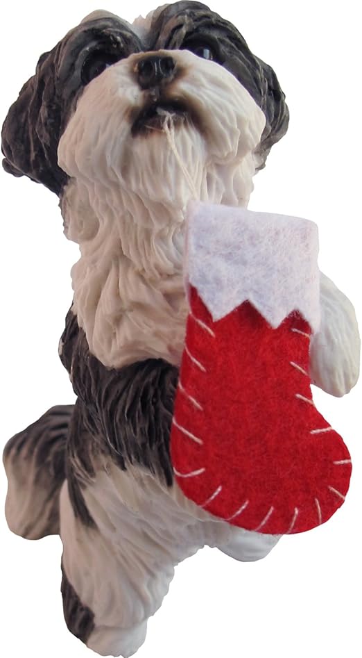 shih tzu silver and white