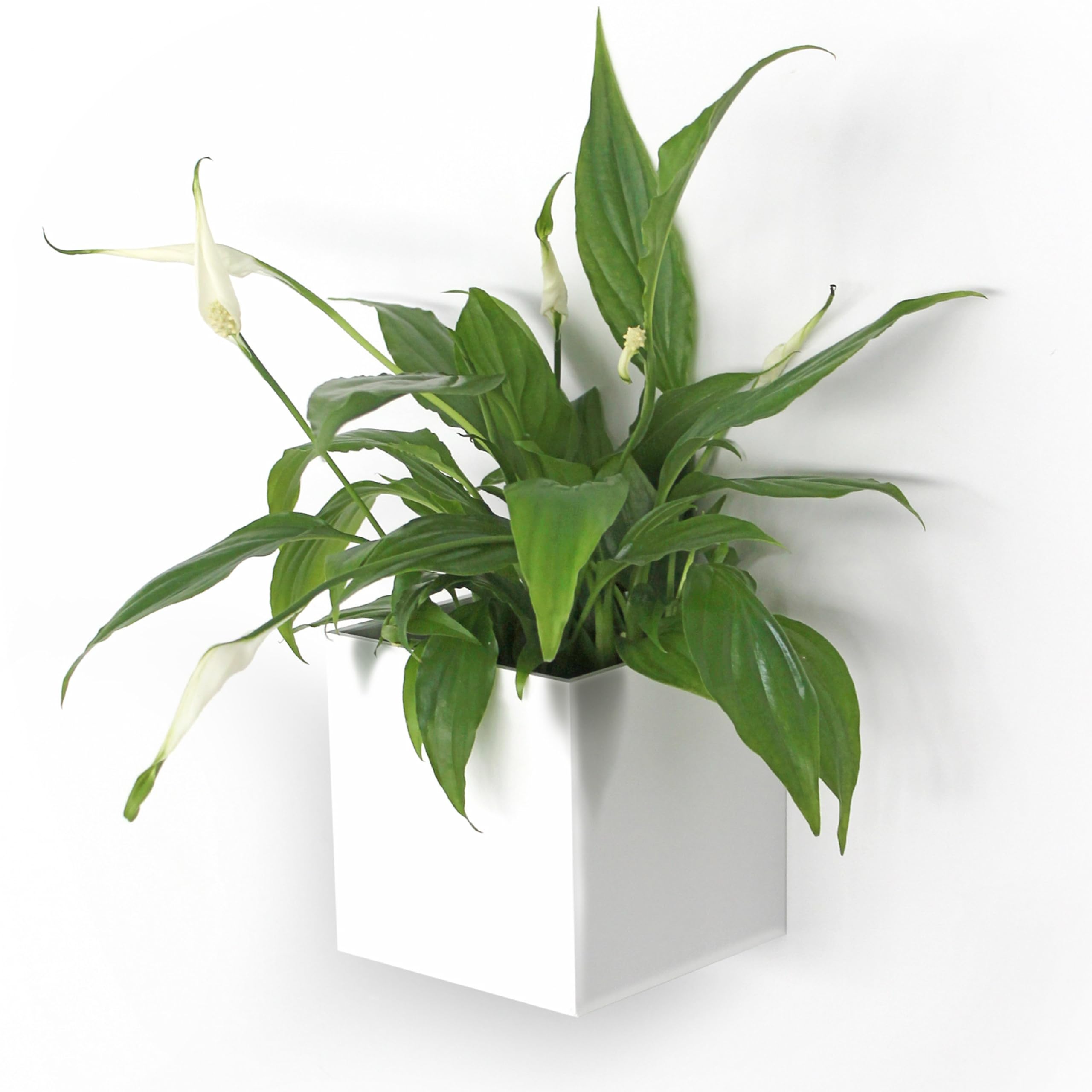 KalaMitica - Magnetic Cube, Cachepot, Marker Holder for Whiteboard, Organizer - Ø 9 cm, White — image 1