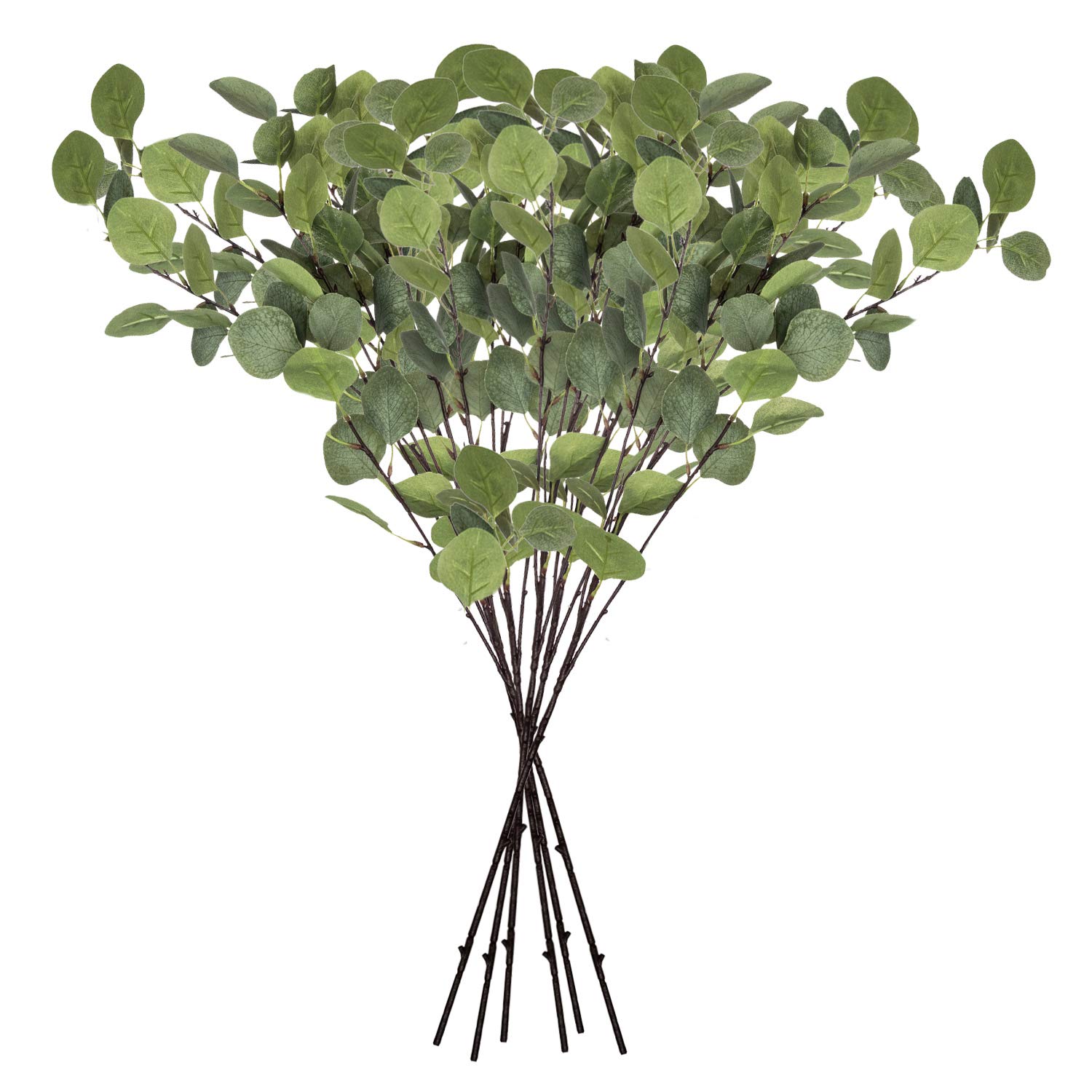 Buy Royal Imports Artificial Silver Dollar Eucalyptus Stems, Long