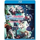 Love, Chunibyo &amp; Other Delusions: Complete Collection [Blu-Ray]