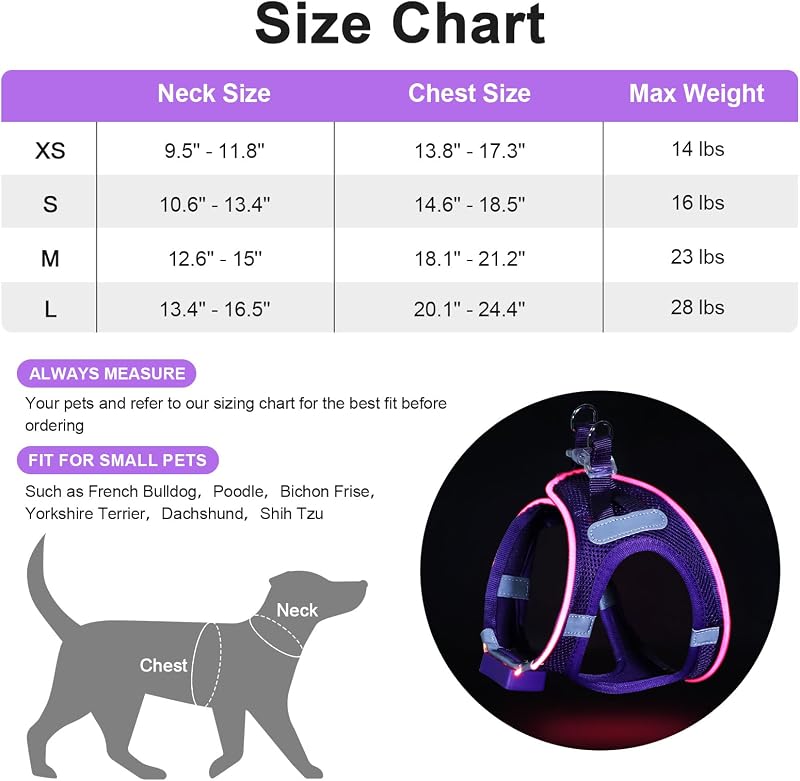 Pettorina luminosa per cani, ricaricabile a LED, pettorina luminosa