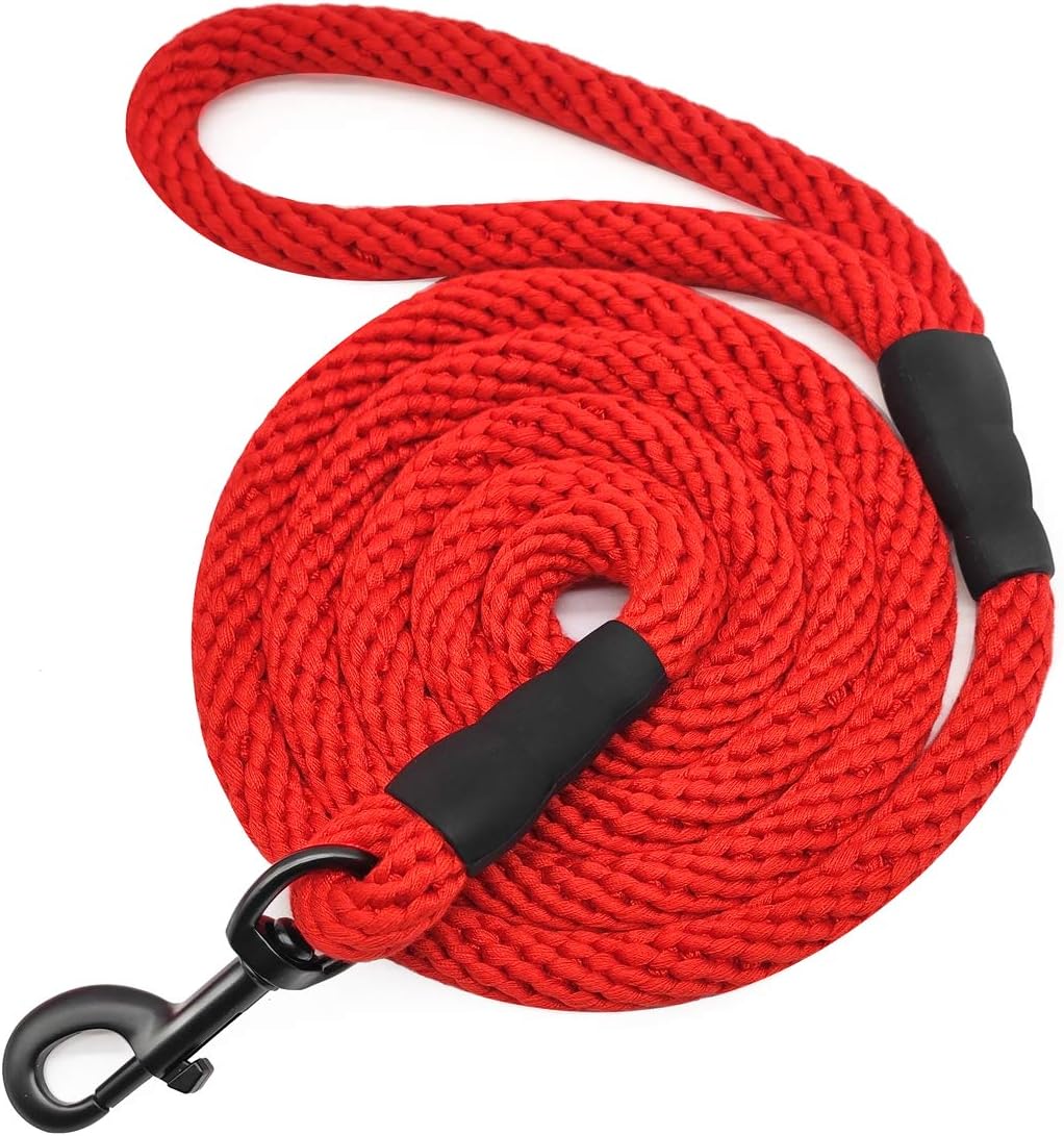 buy a border collie near me