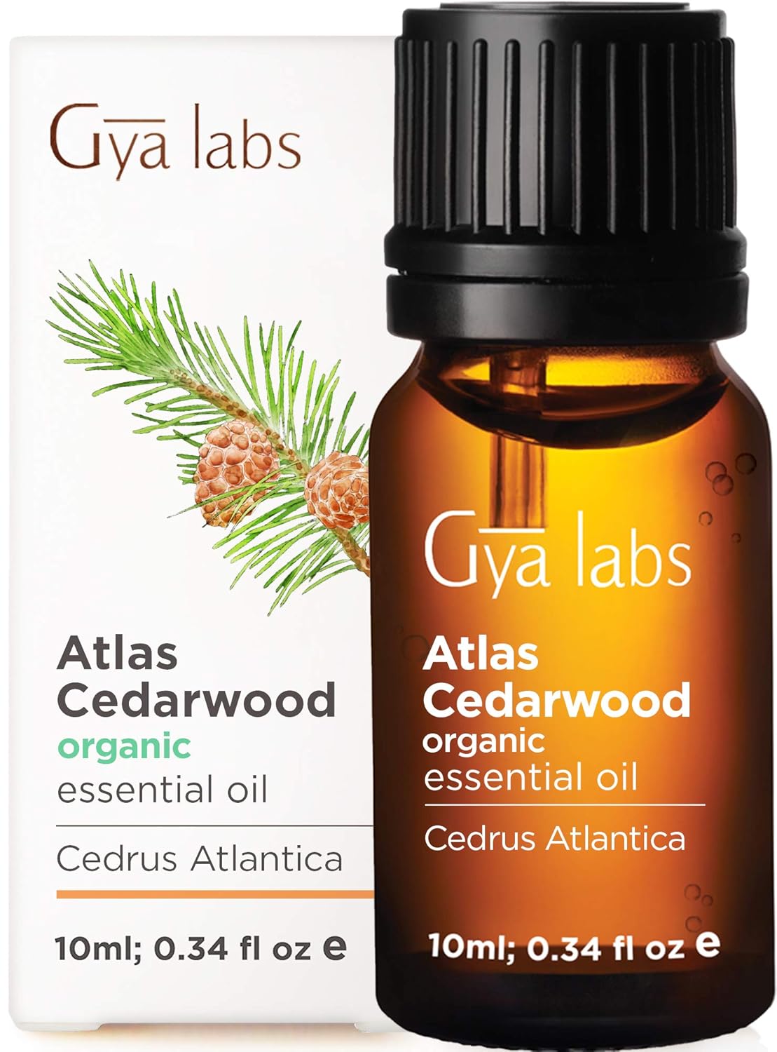 Gya Labs Organic Frankincense Essential Oil for Meditation & Relaxation - Natural Skin Care for Fine Lines, Wrinkles & Sensitive Skin - 100% Pure Therapeutic Grade for Aromatherapy & Topical - 10ml : Beauty