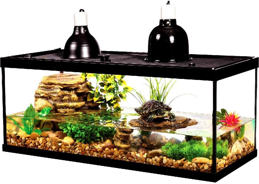 20 gallon terrarium kit