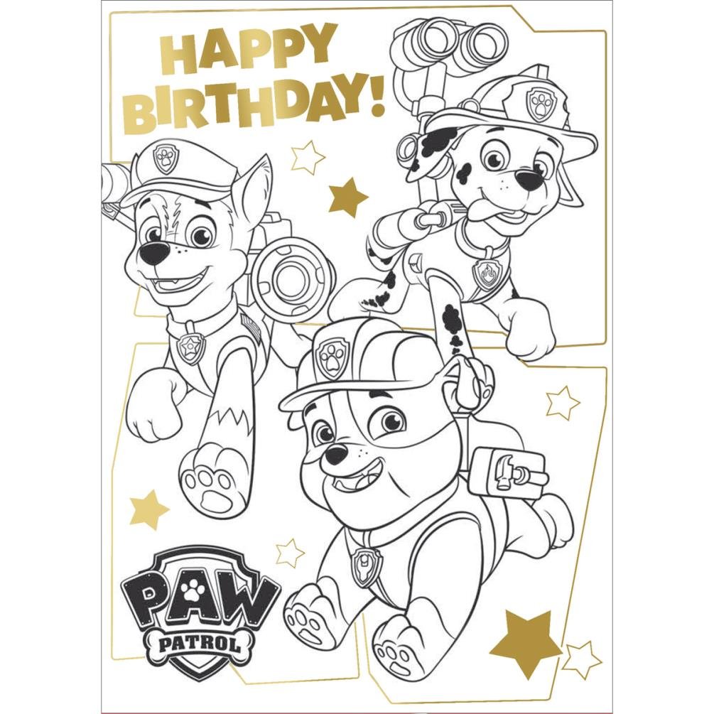 Paw Patrol Colouring Fold Out Poster Birthday Card,Multi Colour,PA034