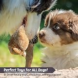 Newthinking No Stuffing Dog Toys 5 Pack Durable Plush Squeaky Toys view 3