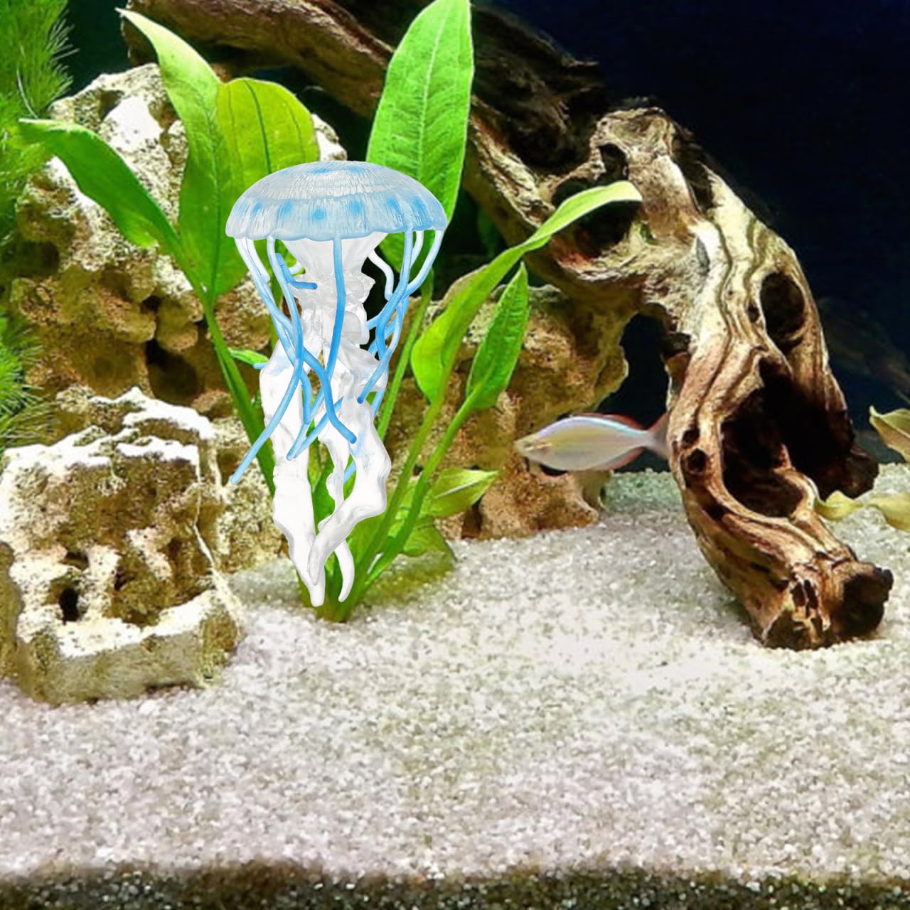 View 5