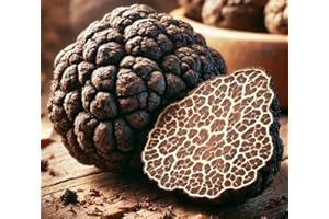 LUSORA VALE Black Truffle Mushroom Spores – Tuber Melanosporum | Gourmet Delicacy | Highly Prized for Rich & Culinary Excellence