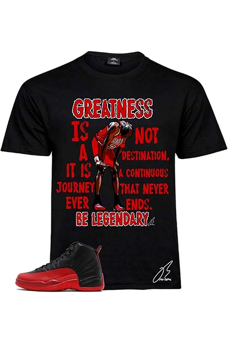 flu game 12 shirt