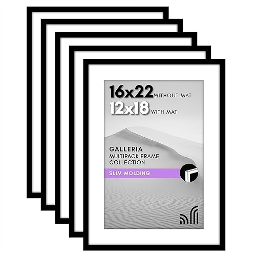 Americanflat 16x22 Picture Frame with Polished Plexiglass - Set of 5 - Use as 12x18 Frame with Mat or Display 16x22 Photo Without Mat - Galleria Collection - Picture Frames for Wall Display - Black