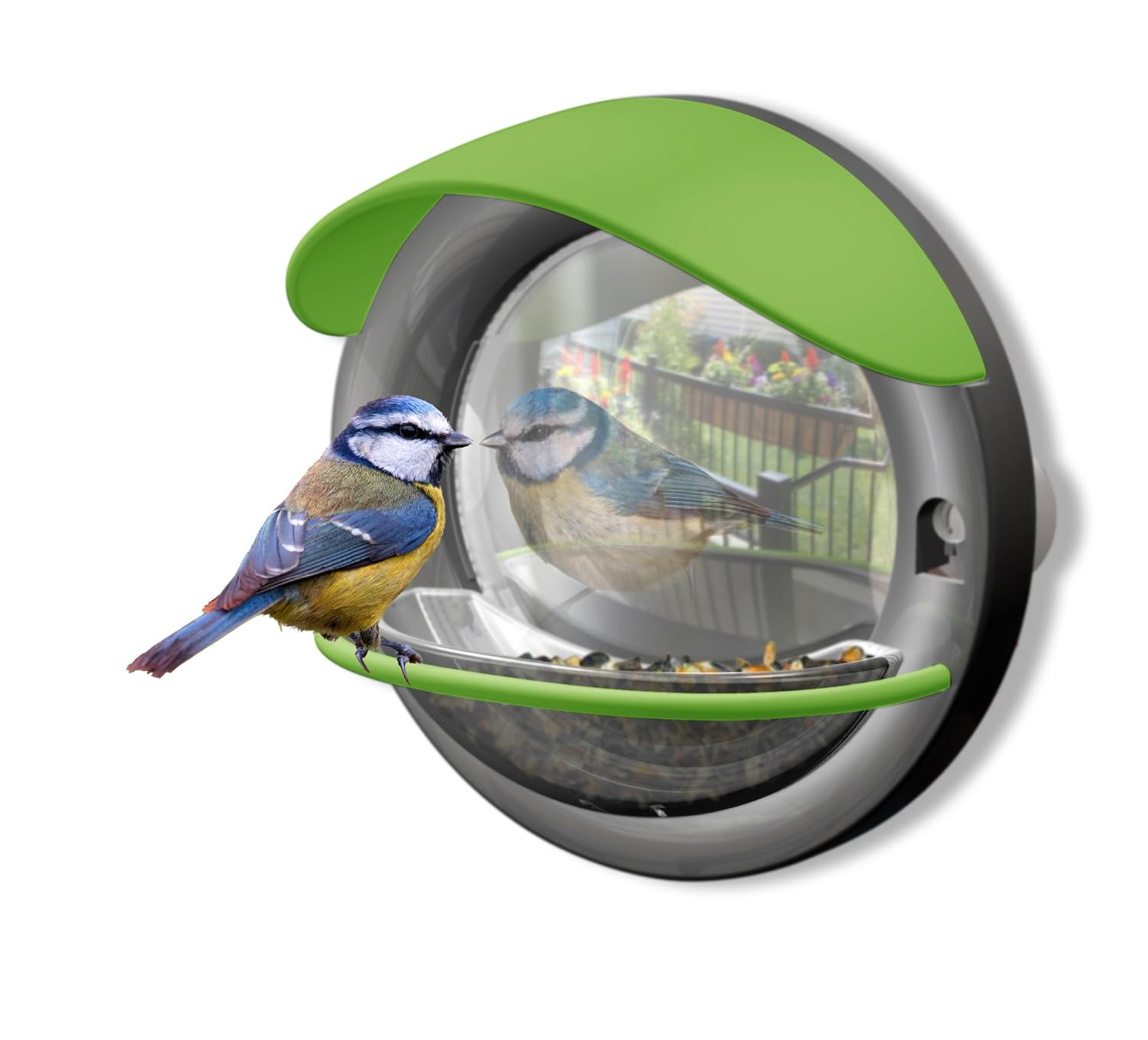 My Living World Window Mounted Bird Feeder Kuwaitasian Com