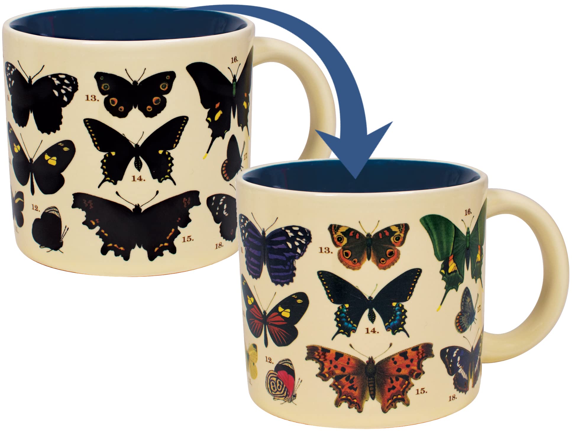 The Unemployed Philosophers Guild Heat Changing Butterfly Mug - Reveals 18 Species with Common and Latin Names on Bottom - Comes in a Fun Gift Box