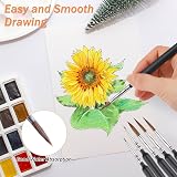 Svalor 11-Piece Drybrush Miniature Painting Set Fine Detail Brushes view 4