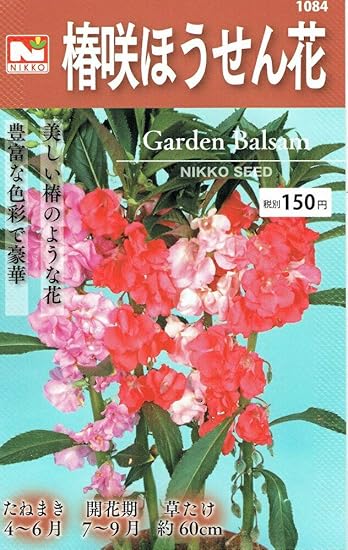 Amazon 椿咲ほうせん花混合 花
