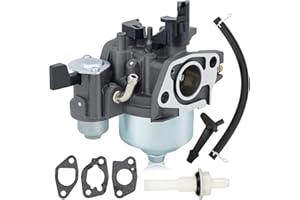Hipa gx160 Carburetor for Honda gx200 Carburetor Rebuild Kit Predator 212cc Carb 5.5HP 6.5HP 196cc 163cc OHV Engine 69730 60363 69727 Pressure Washer Coleman CT200U Mini Bike 16100-ZH8-W61