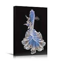 SIGNWIN Canvas Wall Art Siamese Fighting Fish with Blue, Purple and White Fins Underwater Marine Life Ocean Modern Art Nautical Closeup Colorful for Living Room, Bedroom, Office - 12x18 inches