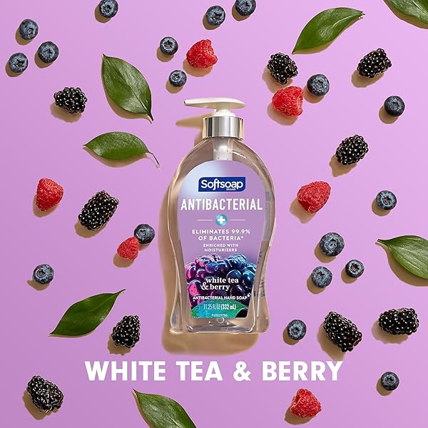 SOFTSOAP LIQUID HAND SOAP PUMP, ANTIBACTERIAL WHITE TEA AND BERRY FUSION, 11.25 OUNCE