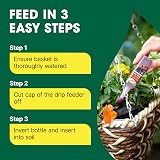 Doff Drip Feeders 10 Pack for Hanging Baskets & Tubs view 4