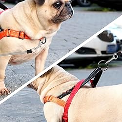 Didog No Pull Dog Harness with Soft Padded
